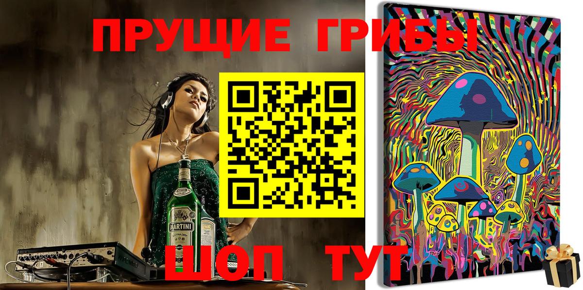 Псилоцибиновые грибы ЛСД  Псилоцибиновые грибы GOLDEN TEACHER  Вход с VPN  Электрогорск 